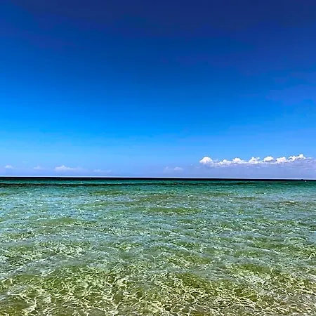 Apartamento Bilocale Sul Mare